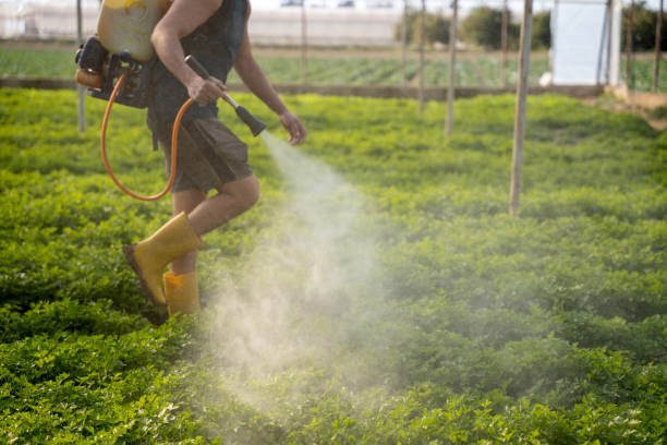 Best Pest Inspection Near Me  in Waipio Acres, HI