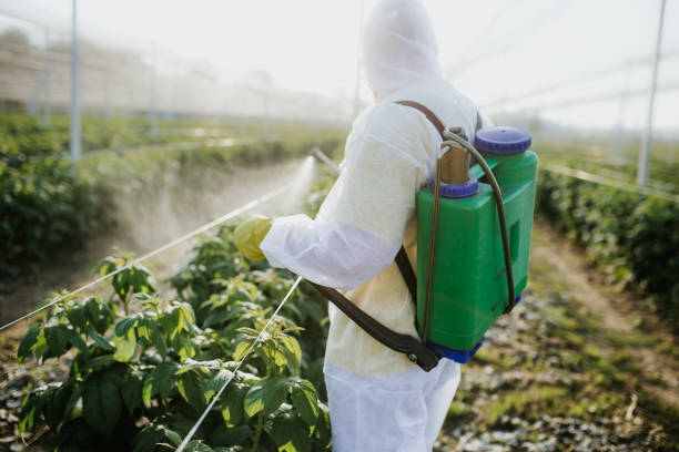 Professional Pest Control in Waipio Acres, HI